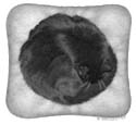 Cat Geometry