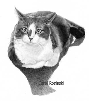 mini art of a tuxedo cat