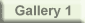 Gallery 1