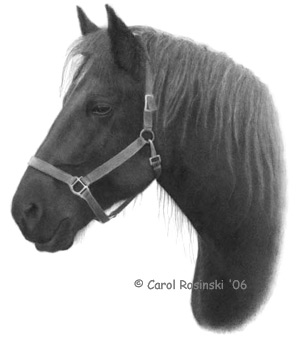 small scale art of a black horse