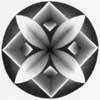 Shaded graphite mandala