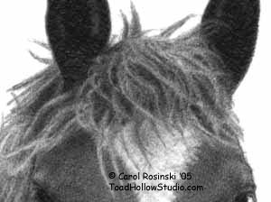 How to Draw a Horse - Part Three - Pic Five