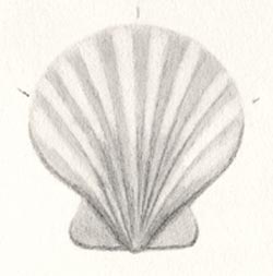 shell step 3