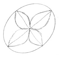 draw angles petals