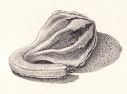 strathmore 400 series drawing paper
