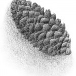 Simplified Texture Technique Simplified Texture Technique
