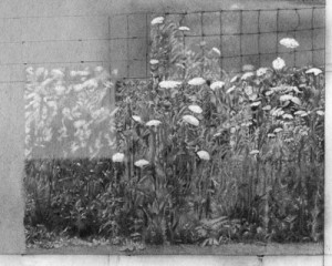 Texture Step Four