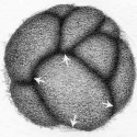 Gradated Nodules