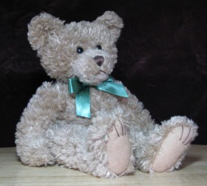 Teddy Bear Reference Photo