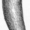 Gradated Shading Gradated Shading