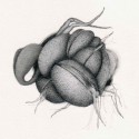 Sprout - a balancing act.