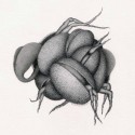 Sprout - 3D form and fantasy.