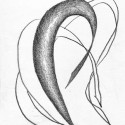 Stem 1 Basic Shading Stem 1 Basic Shading