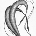 Stem 2 Basic Shading Stem 2 Basic Shading