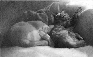 two cats in a beam - stage one