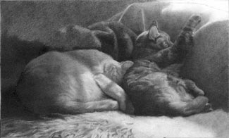 two cats in a beam - stage two