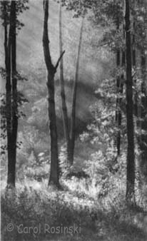 Miniature realistic drawing by Carol Rosinski